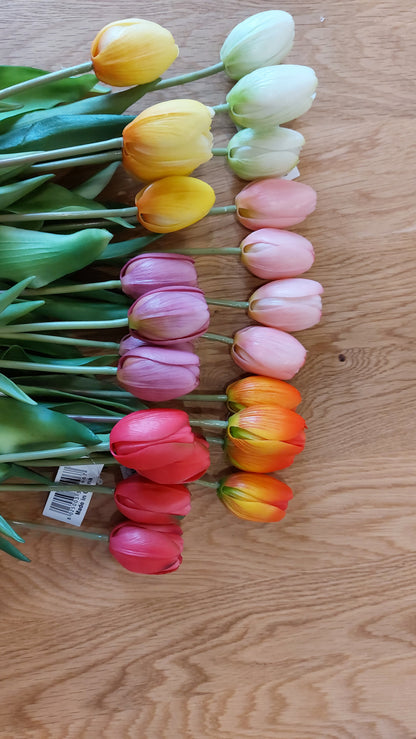 Mazzo di tulipani