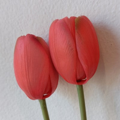 Mazzo di tulipani