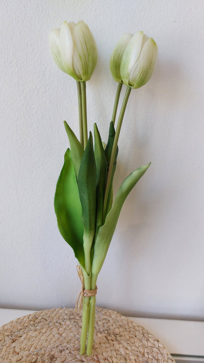 Mazzo di tulipani