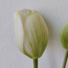 Mazzo di tulipani