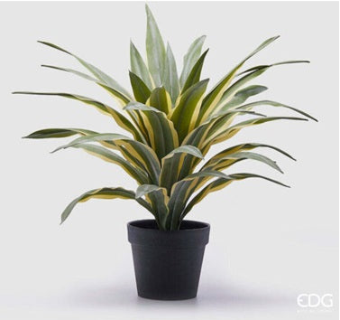 Agave Succ. artificiale in vaso