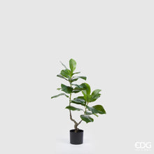 Pianta di Ficus artificiale con vaso