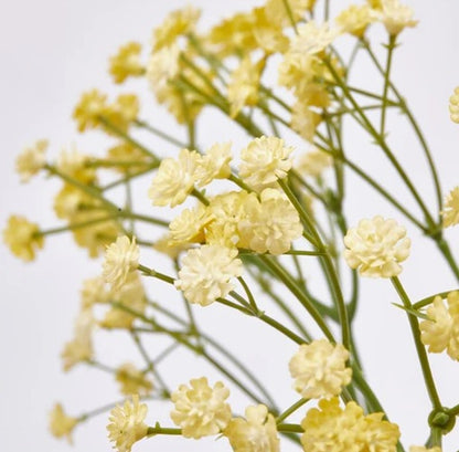 Gypsophila artificiale colorata