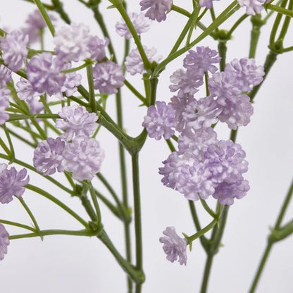 Gypsophila artificiale colorata