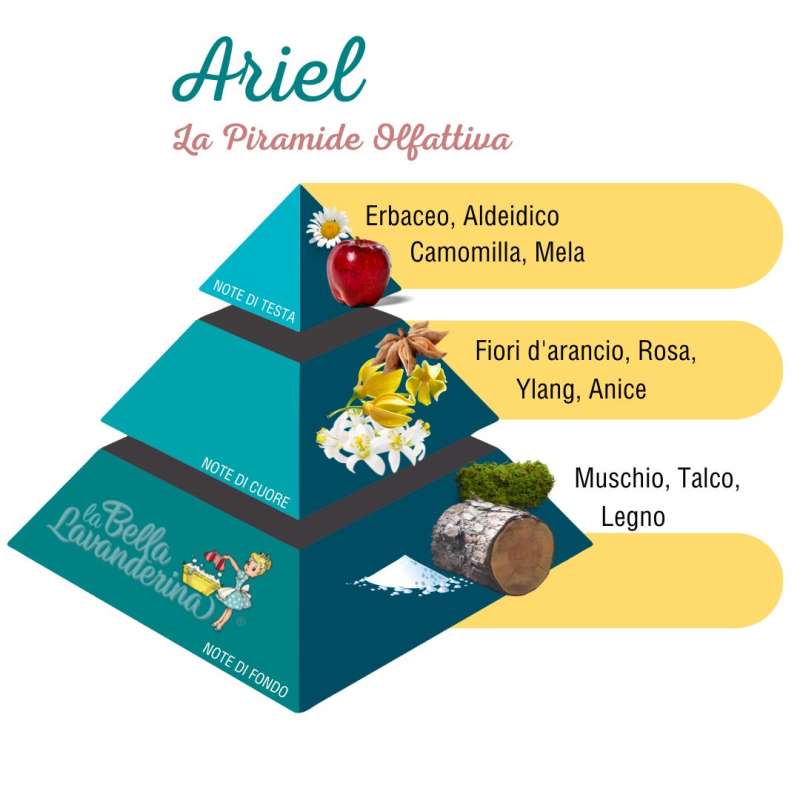 Profumatore per bucato Ariel – La Bella Lavanderina