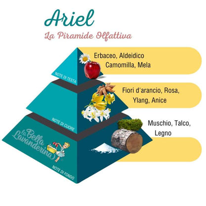 Profumatore per bucato Ariel – La Bella Lavanderina