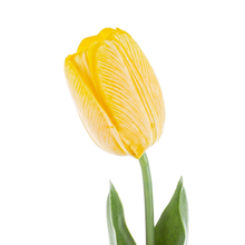 Tulipano artificiale giallo