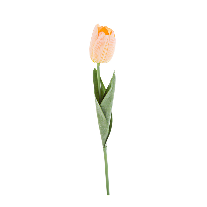 Tulipano artificiale Pesca