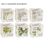 Vaso "Erbe Aromatiche"