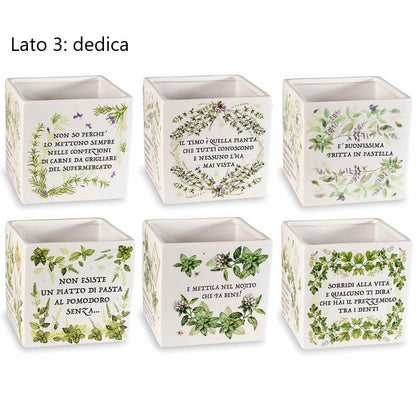 Vaso "Erbe Aromatiche"