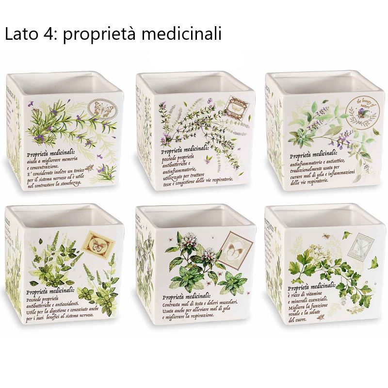 Vaso "Erbe Aromatiche"
