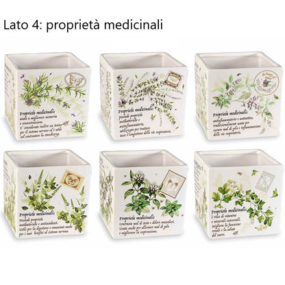 Vaso "Erbe Aromatiche"