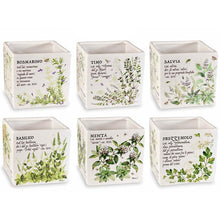 Vaso "Erbe Aromatiche"